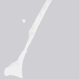 City Map Tile