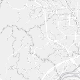 City Map Tile