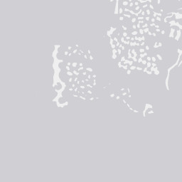 City Map Tile