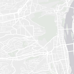 City Map Tile