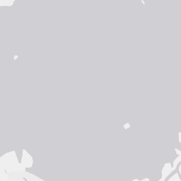City Map Tile