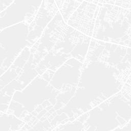 City Map Tile