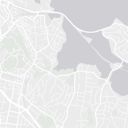 City Map Tile