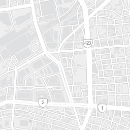 City Map Tile