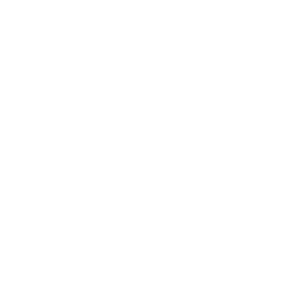 PULSE