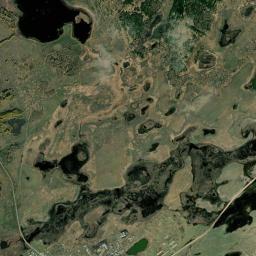 Баево Алтайский Край Фото