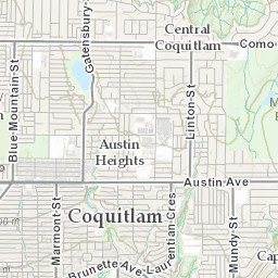 City Of Coquitlam Gis Map City Of Coquitlam - Catch Basins