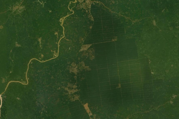 Satellite imagery of location of the item 'Report on the semi-detailed soil survey on Twifo Oil Palm project area at Twifo-Mampong Central Region' (392)
