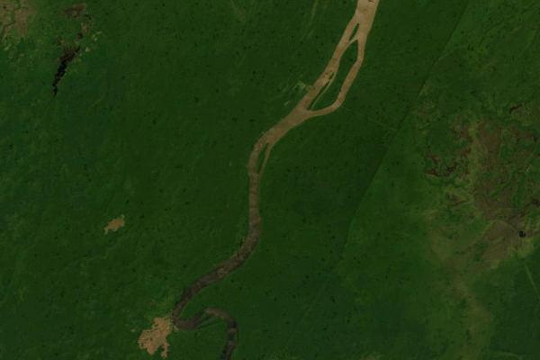 Satellite imagery of location of the item 'Report on the Soil Survey Project British Guiana' (201)