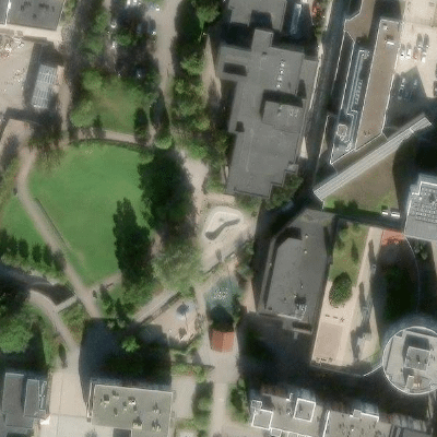 Library Park Skatepark