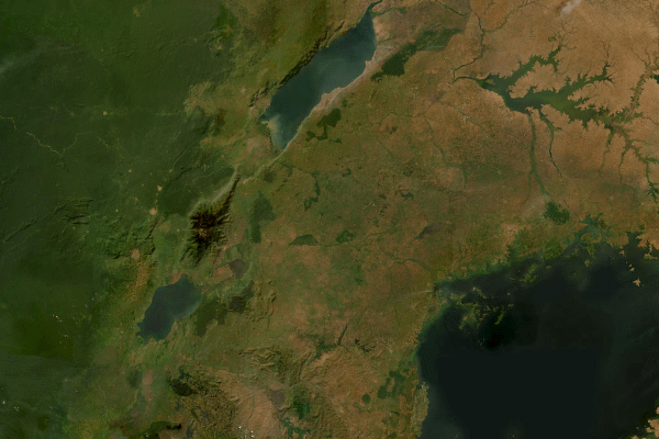 Satellite imagery of location of the item 'The Soils of the Western Province of Uganda - A Reconnaissance Survey' (41864)