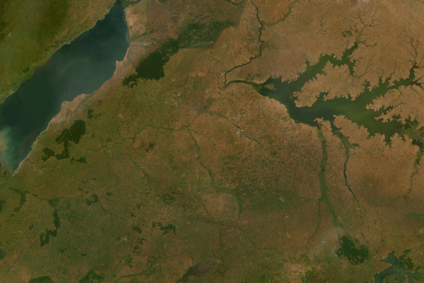 Satellite imagery of location of the item 'The Soils and Land use of Buganda' (407)