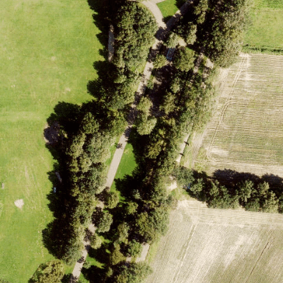 Nieuwkuijk pumptrack